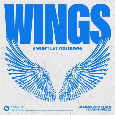 armand van helden – wings